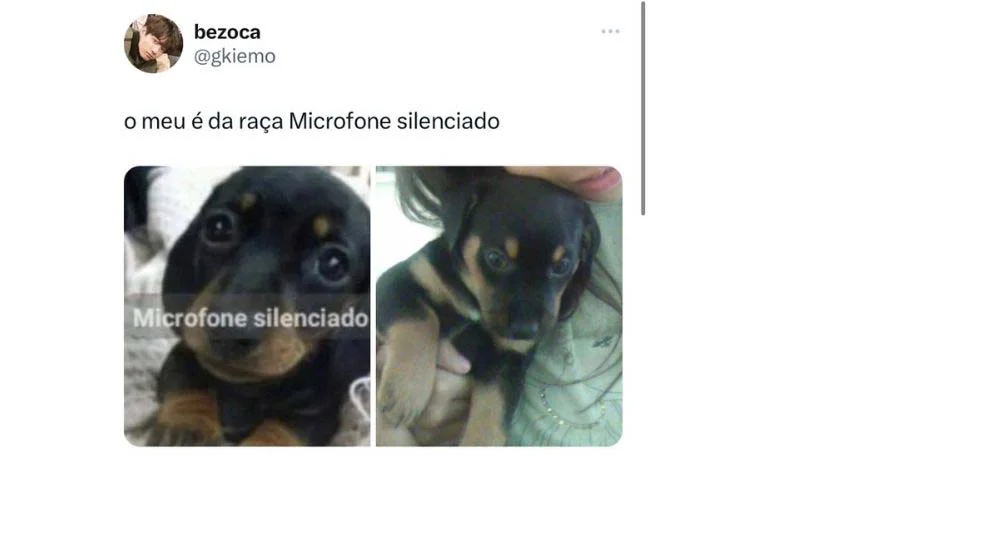 O meme do cachorro do microfone silenciado viralizou na pandemia