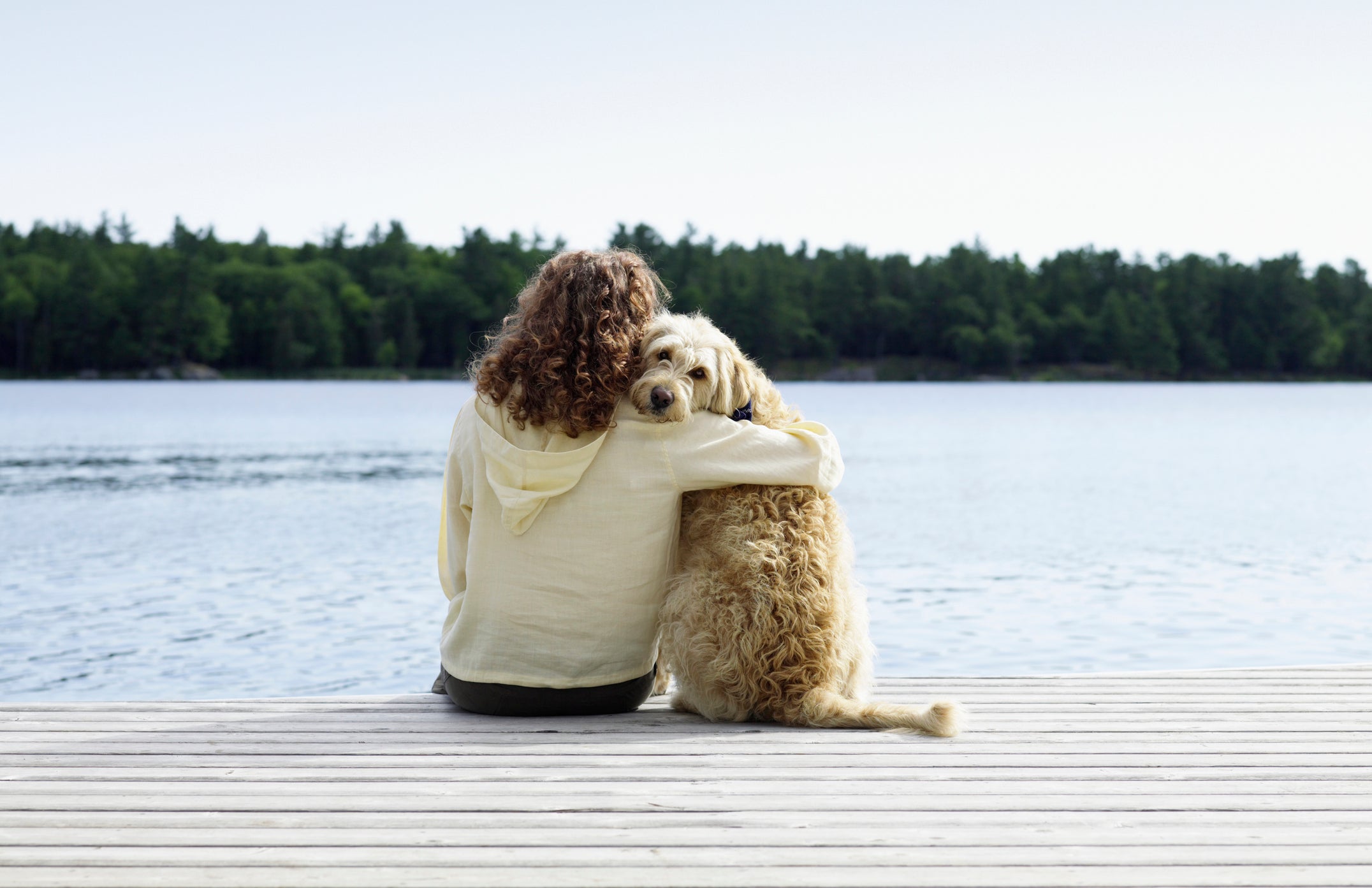 Cão abraçado com tutora perto de lago