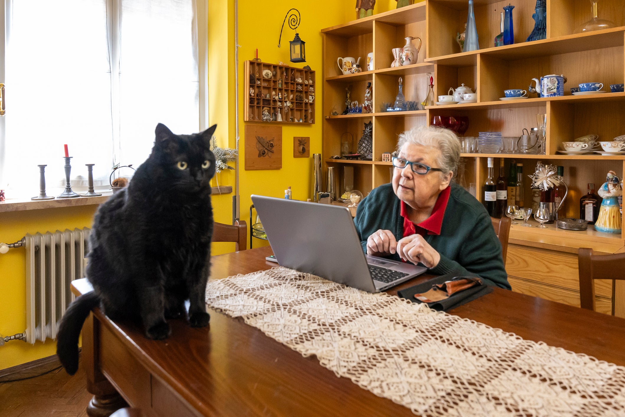 Gato preto sentado em cima de mesa enquanto tutora idosa o observa