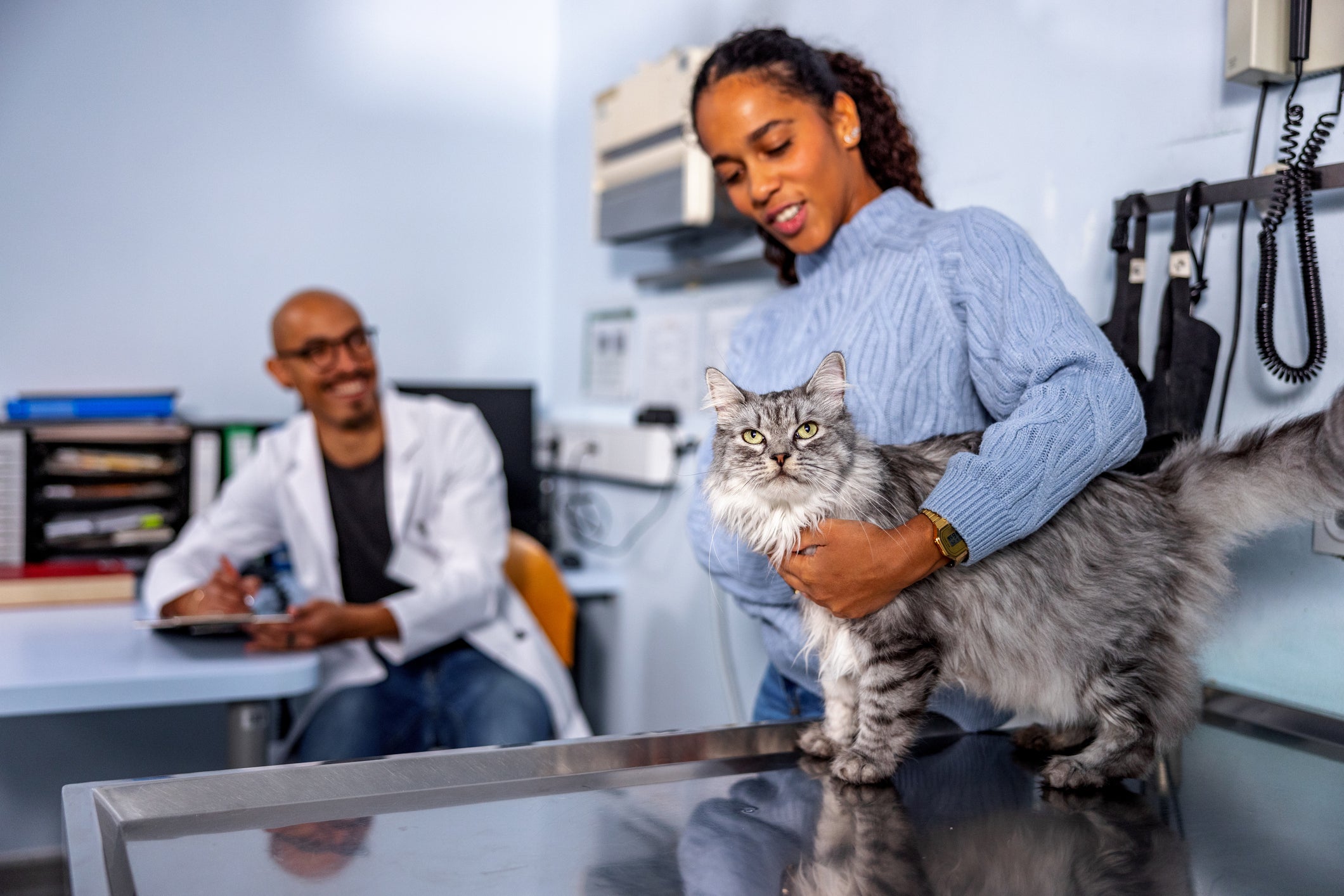 Tutora segurando gato em consultório com veterinário ao fundo