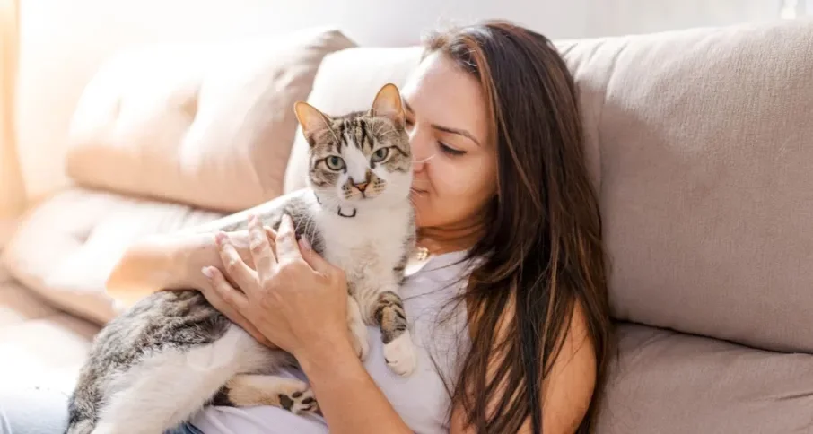  Amor de gato: 6 dicas para estreitar os laços com seu bichano