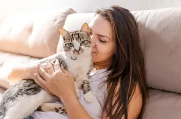  Amor de gato: 6 dicas para estreitar os laços com seu bichano