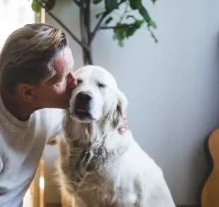 Amor de cachorro: saiba como demonstrar o amor pelo cachorro
