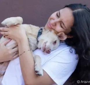 Conversamos com a protetora de animais Yasmin Jacob e ela contou como é a rotina de resgatar cães abandonados