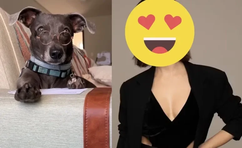 Cachorro decide interpretar canção de amor em vídeo (Créditos: Instagram/ @hunter_srd)