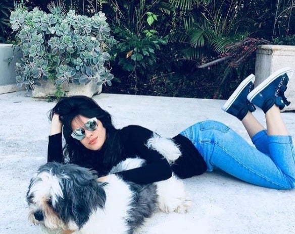 Camila Cabello deitada na neve com seu cão