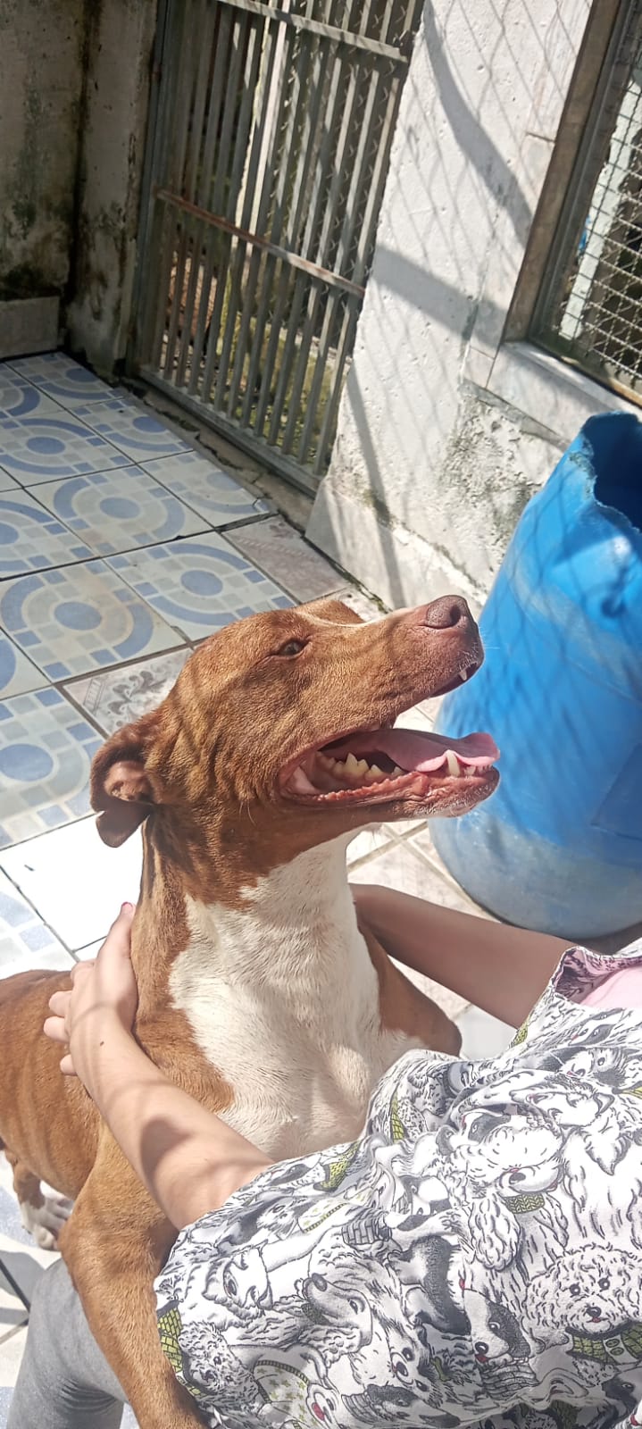 Lua