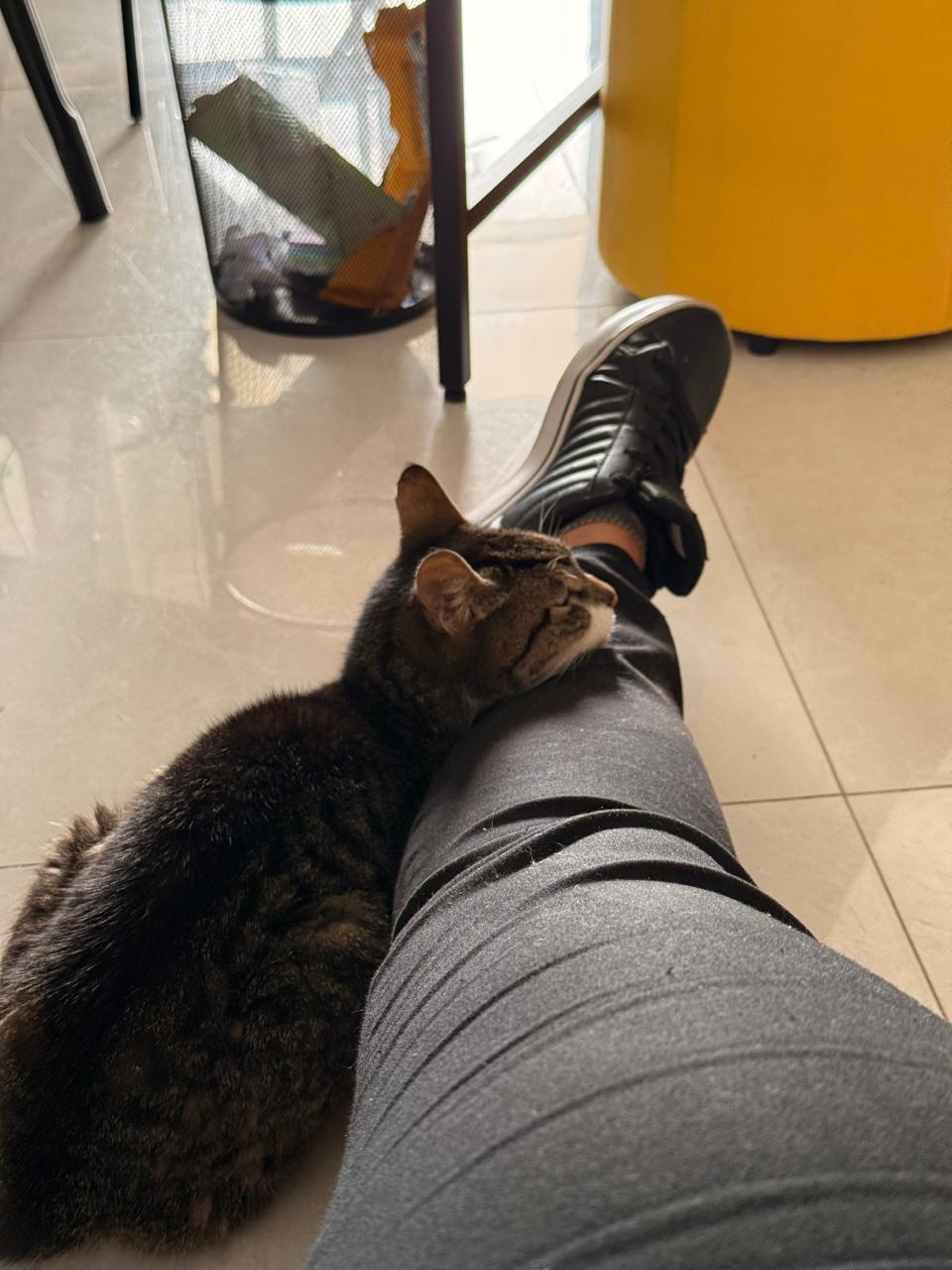 princesa