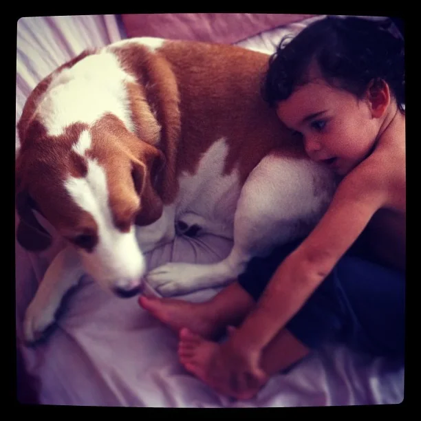 Cachorros da raça Beagle costumam ser muito sociáveis com crianças!