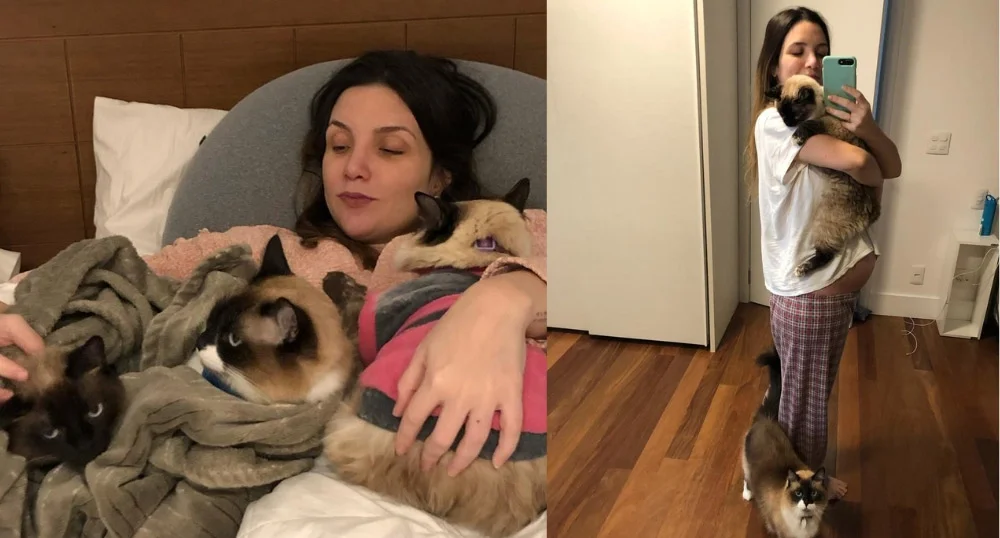 A Gabi está muito feliz de compartilhar esse momento com seus gatinhos Pererê, Petisco e Belisca