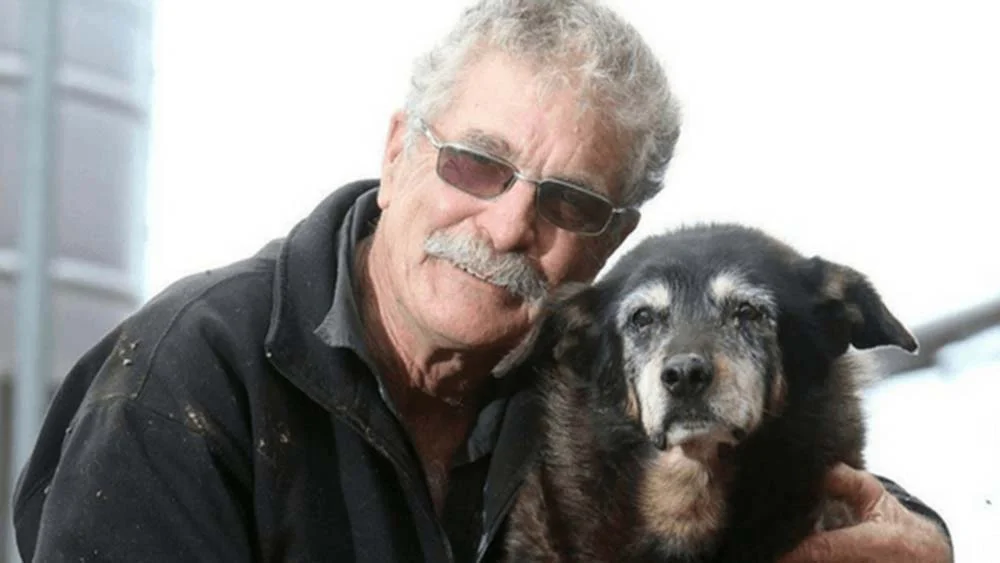 Cachorro mais velho do mundo: segundo o tutor da cadela Maggie, a pet morreu após completar 30 anos de vida - porém a documentação para comprovar a idade foi perdida