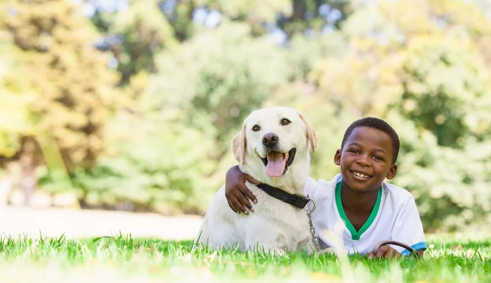 O Golden Retriever é uma das melhores opções de raças de cachorro para crianças