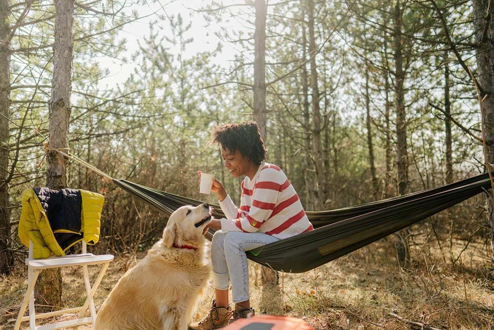 Golden Retriever é um cachorro que vai te acompanhar em qualquer aventura!