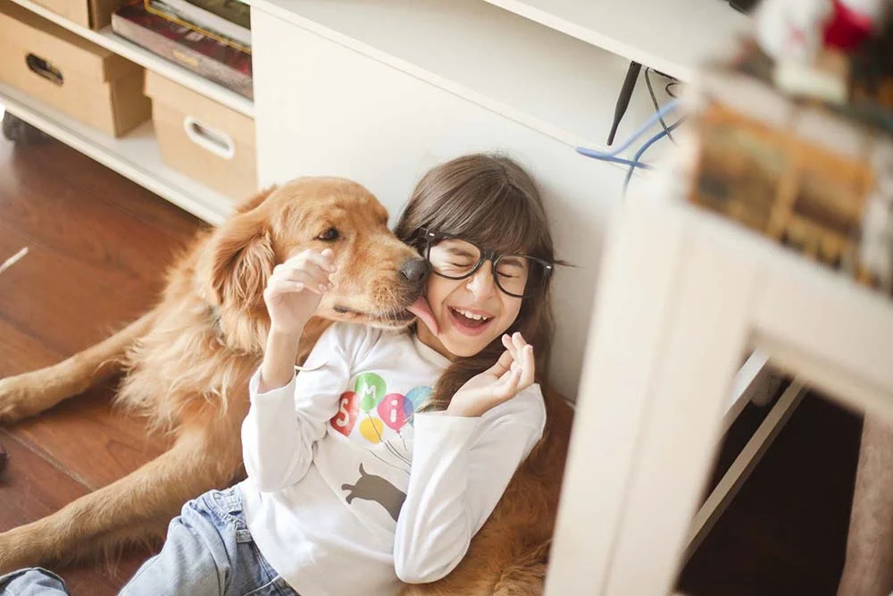 Além de ser um dos melhores cachorros para apartamento, o Golden se dá bem com crianças