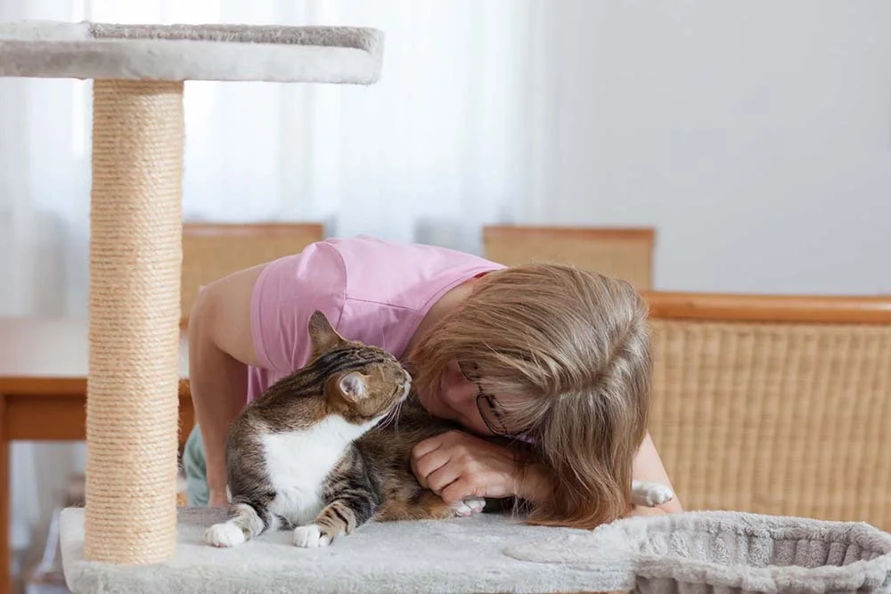 Estimule seu pet a usar o arranhador de gato: reforço positivo pode ser feito com pestiscos.