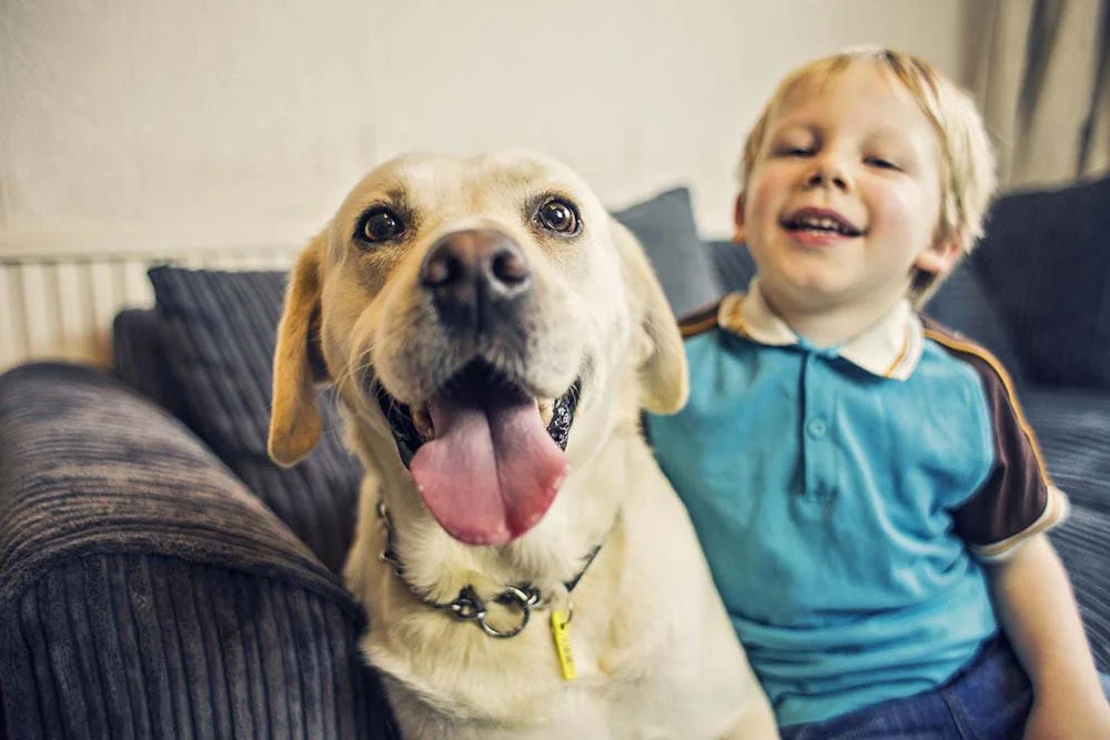 Animais de estimação mais carinhosos: Labrador se dá bem com crianças