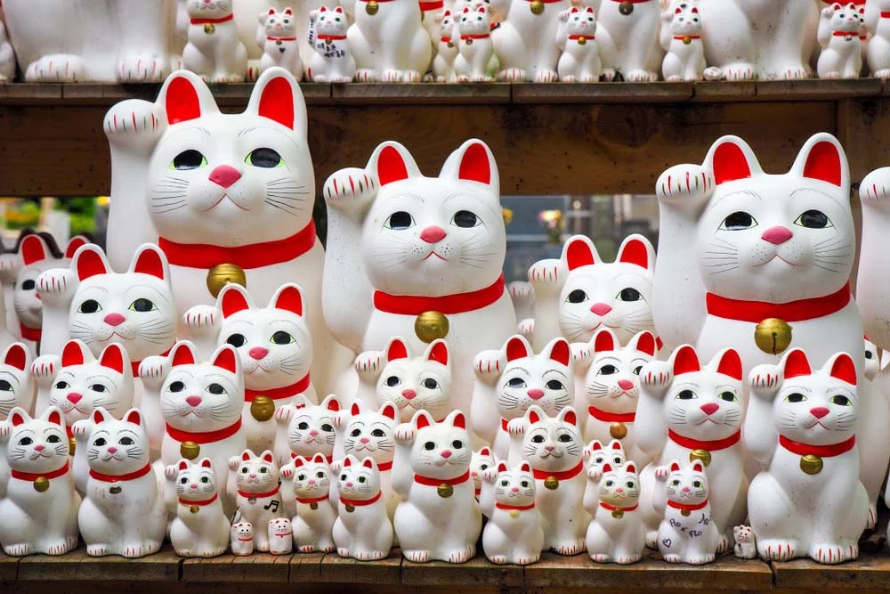 Gato branco Bobtail Japonês é a raça que protagoniza o famoso souvenir