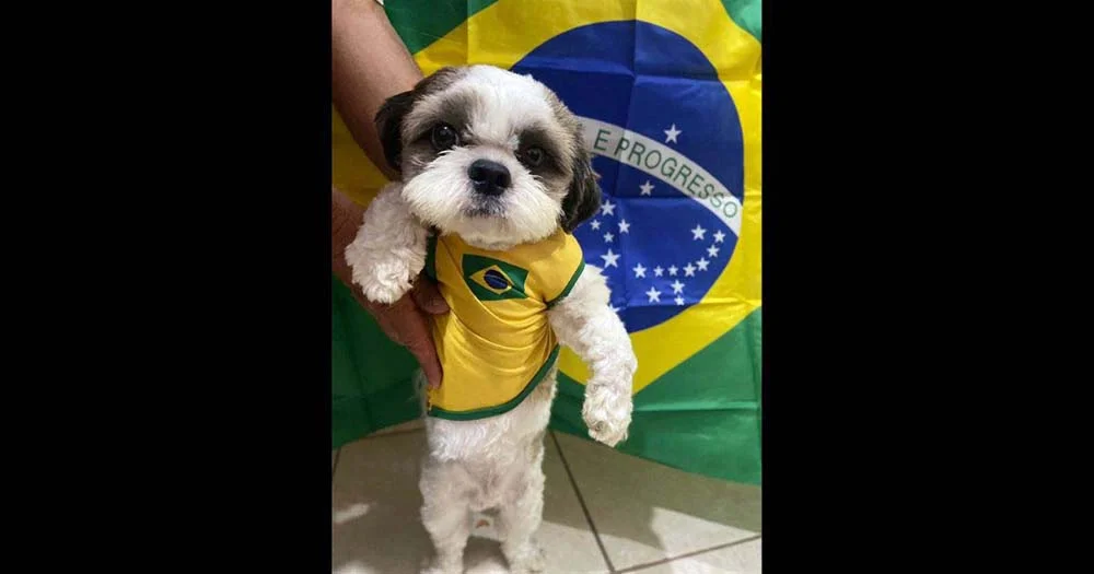 O cachorrinho Dólar ganhou uma roupinha especial para torcer pelo Brasil