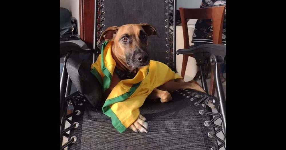O Samuca até usa a bandeira do Brasil como manto para dar sorte ao nosso time