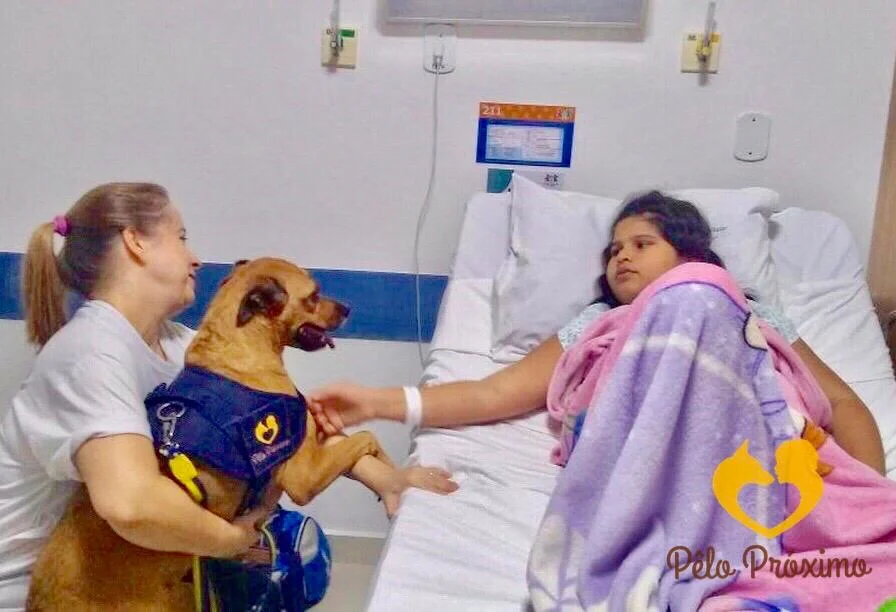 Cão: terapia com crianças faz parte do dia a dia da Penélope como voluntária