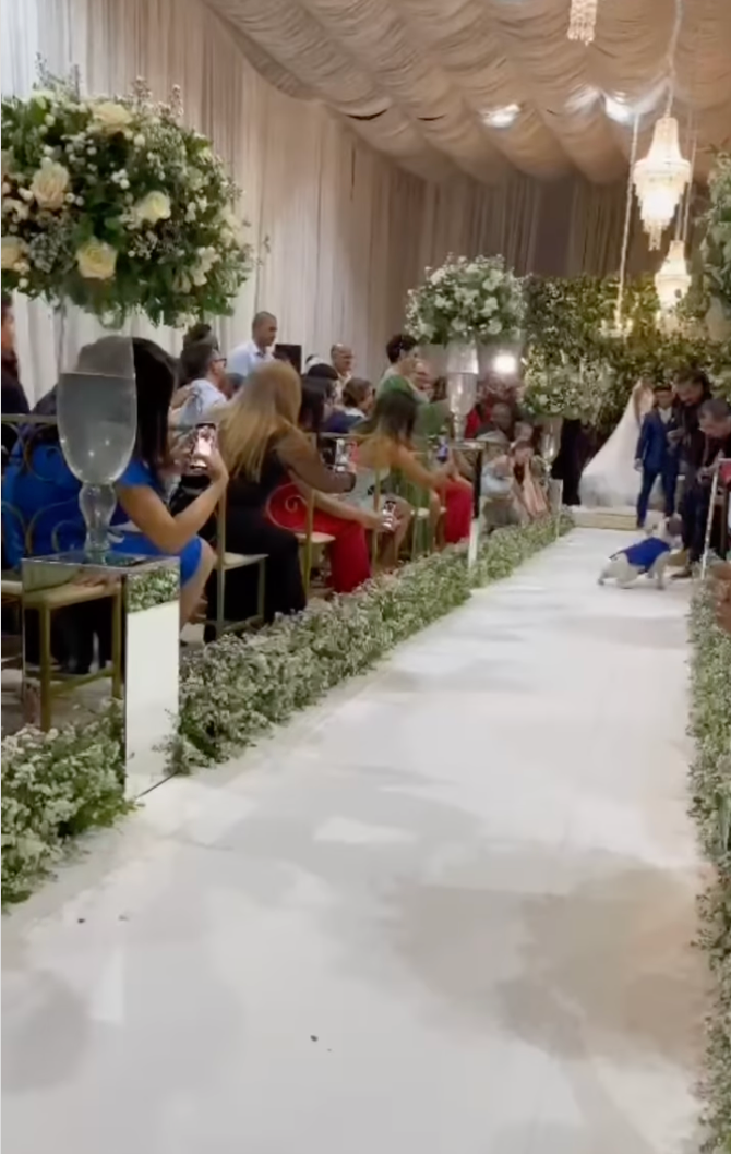 cachorro Bulldog Francês levando as alianças em um casamento