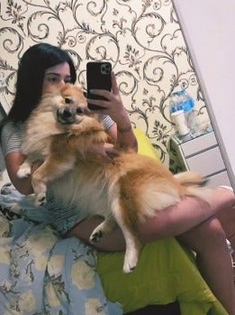Cachorro lulu da pomerânia sendo segurado por mulher, que tira selfie no espelho