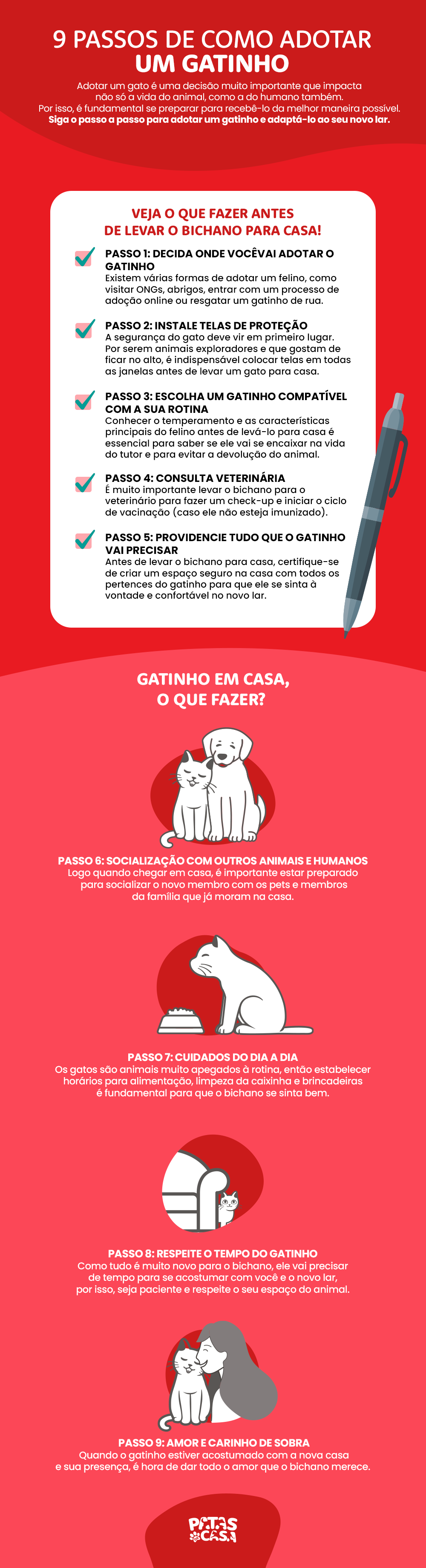 Infográfico descrevendo as etapas para adotar um gato
