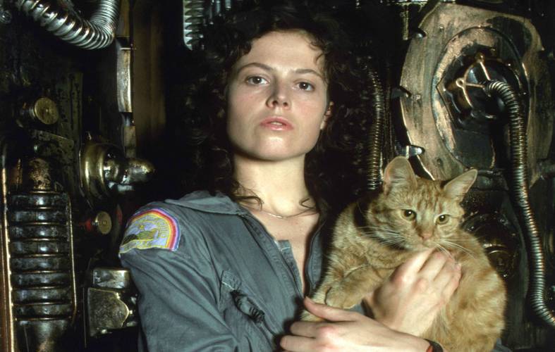 filmes com gato: o alien