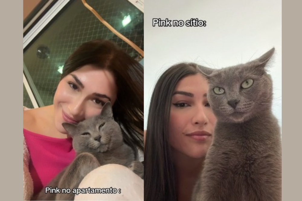 Montagem de duas fotos de uma gata ao lado da tutora