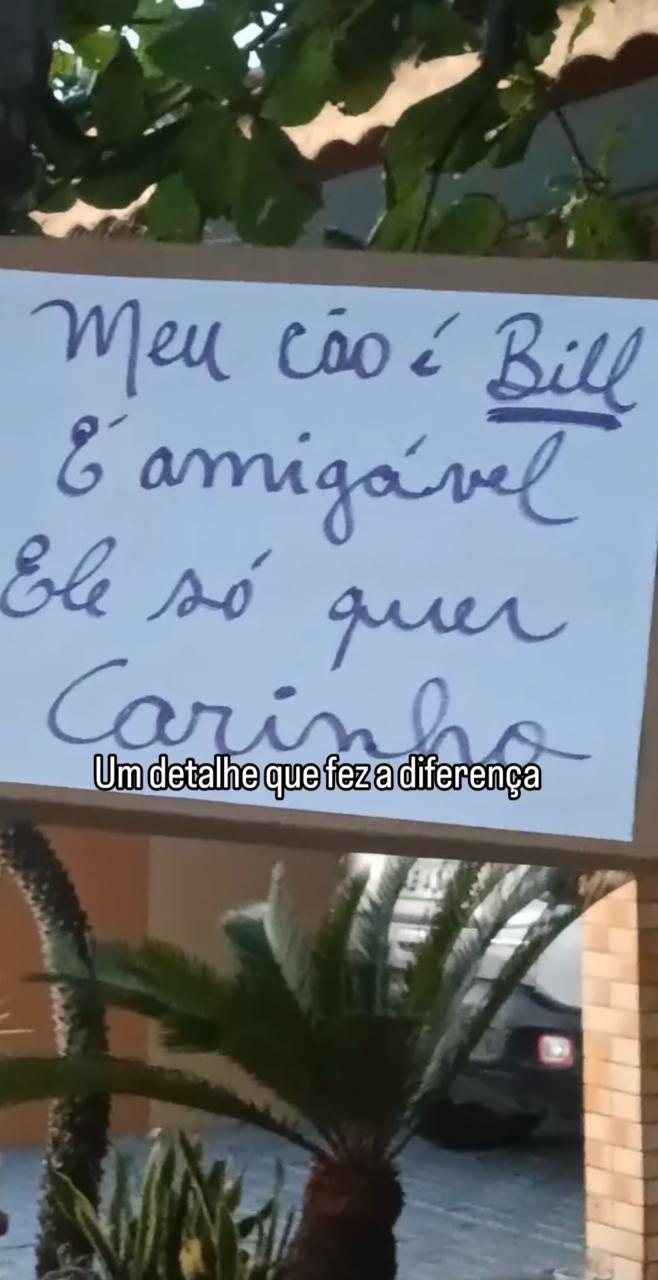 cartaz feito pela tutora de bill