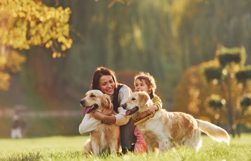 família brincando com cachorros