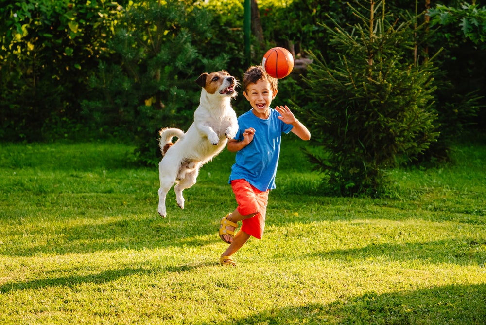 cachorro com criança brincando juntos