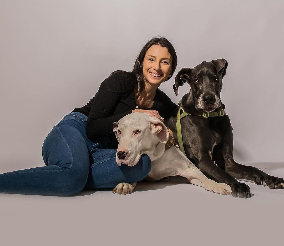 dois cachorros gigantes da raça Dogue Alemão posando para a foto ao lado de tutora