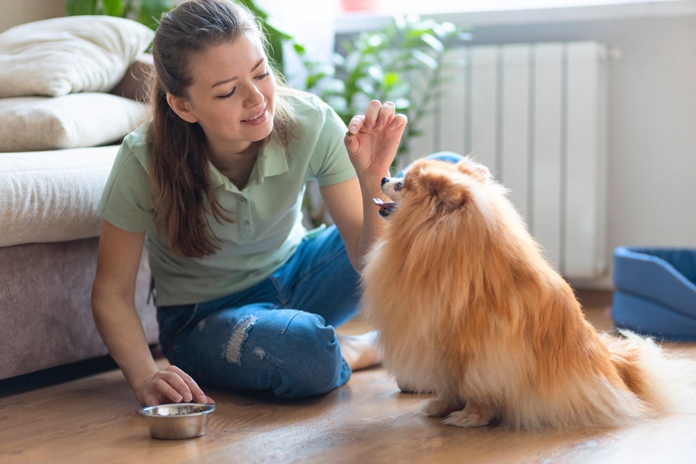 mulher ensinando cachorro sentar
