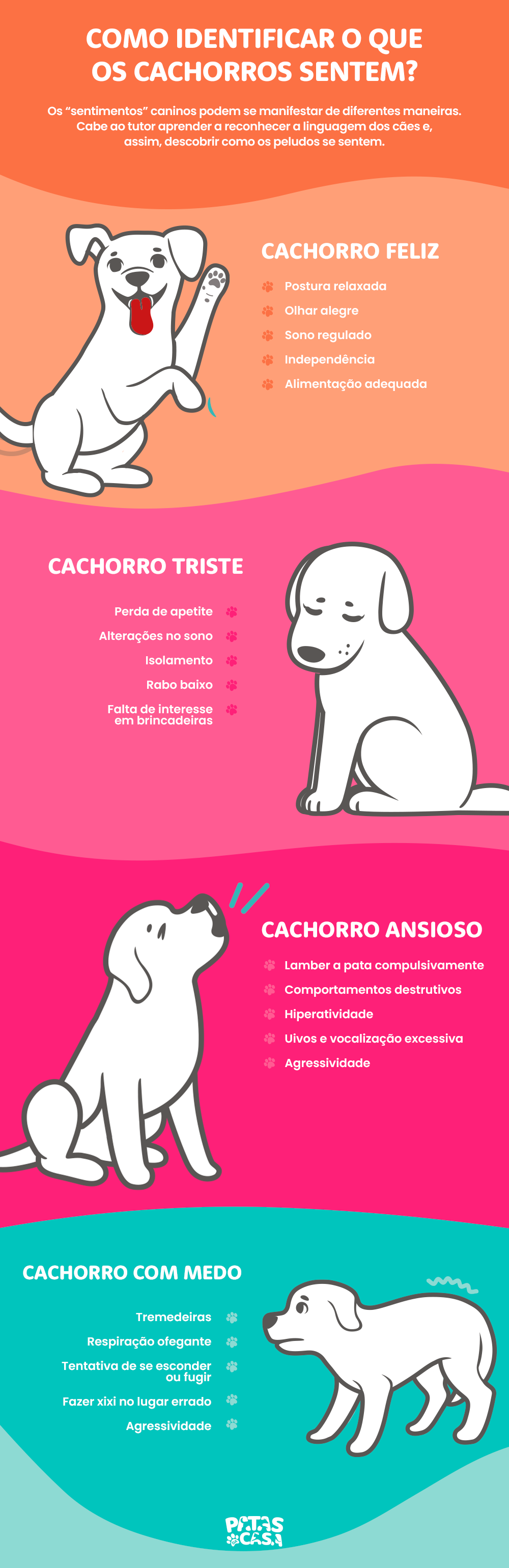 Bloco informativo mostrando os sinais mais evidentes de um cachorro feliz, triste, ansioso ou com medo