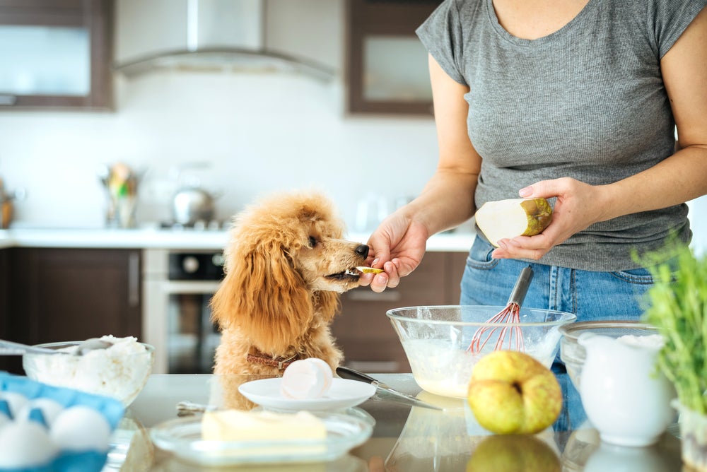 cachorro pode comer pera: mulher em uma cozinha branca cortando pera e oferecendo ao cachorro que está apoiado na bancada