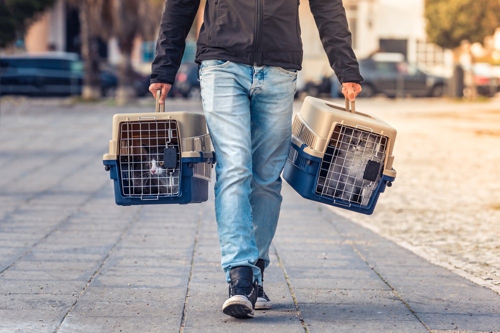 homem segurando duas caixas de transporte para gatos