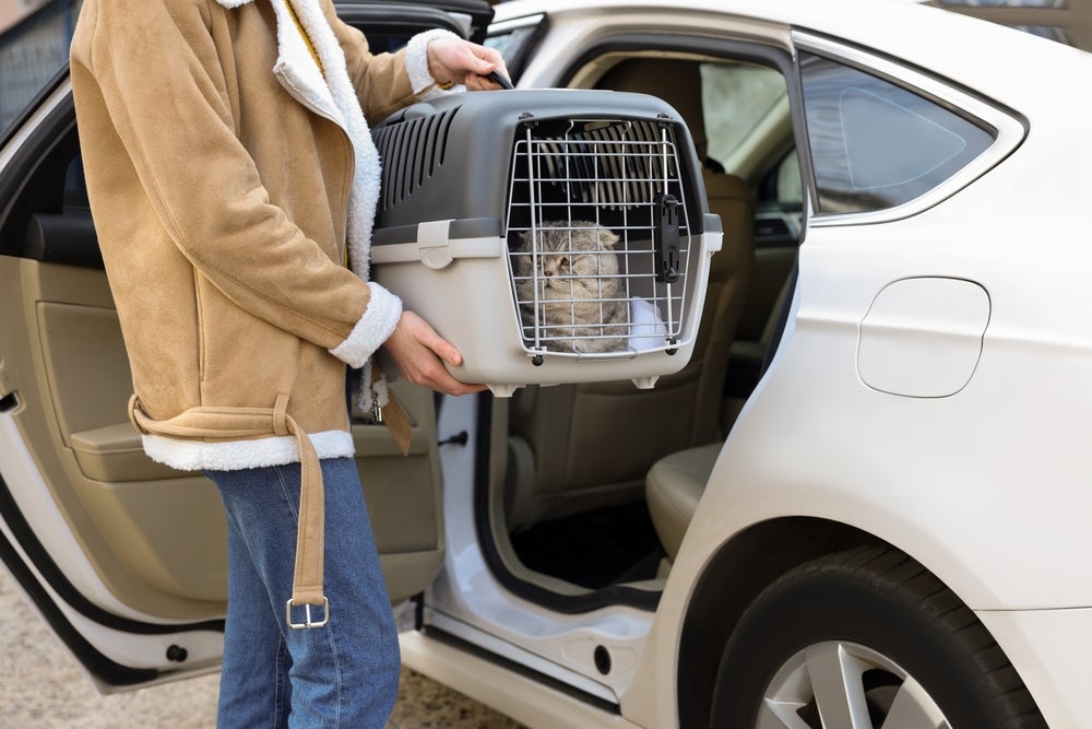 homem colocando caixa de transporte para gatos no carro