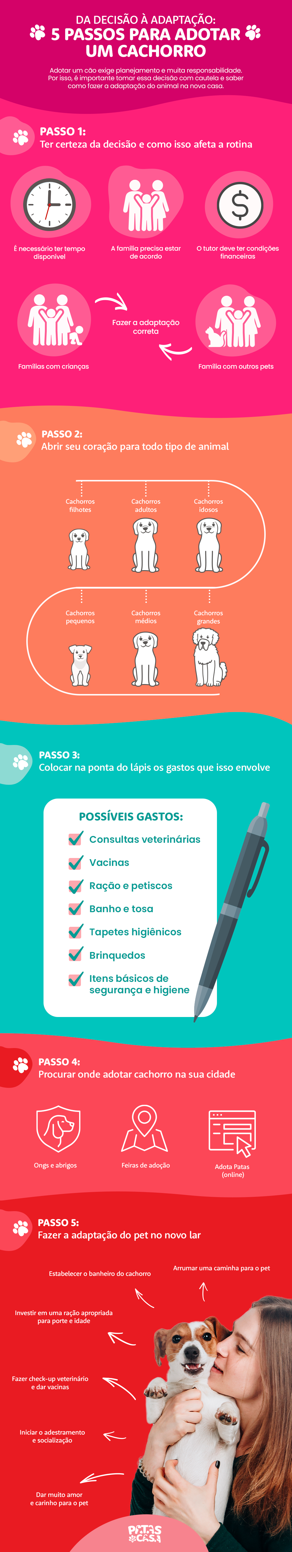 Bloco informativo mostrando todo o ciclo de adoção de cachorro
