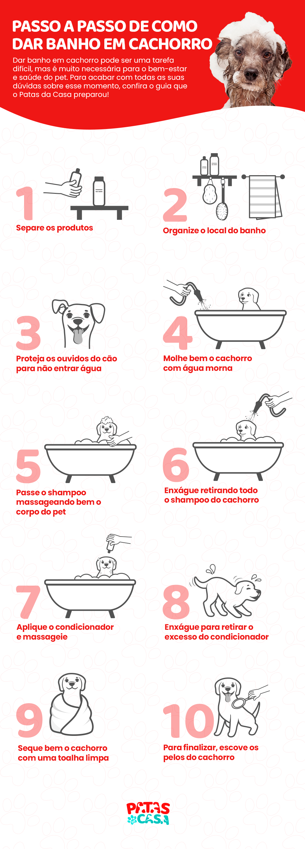 infográfico de como dar banho em cachorro