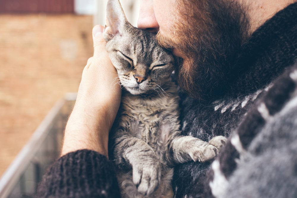 como segurar um gato do jeito certo: homem segurando gato