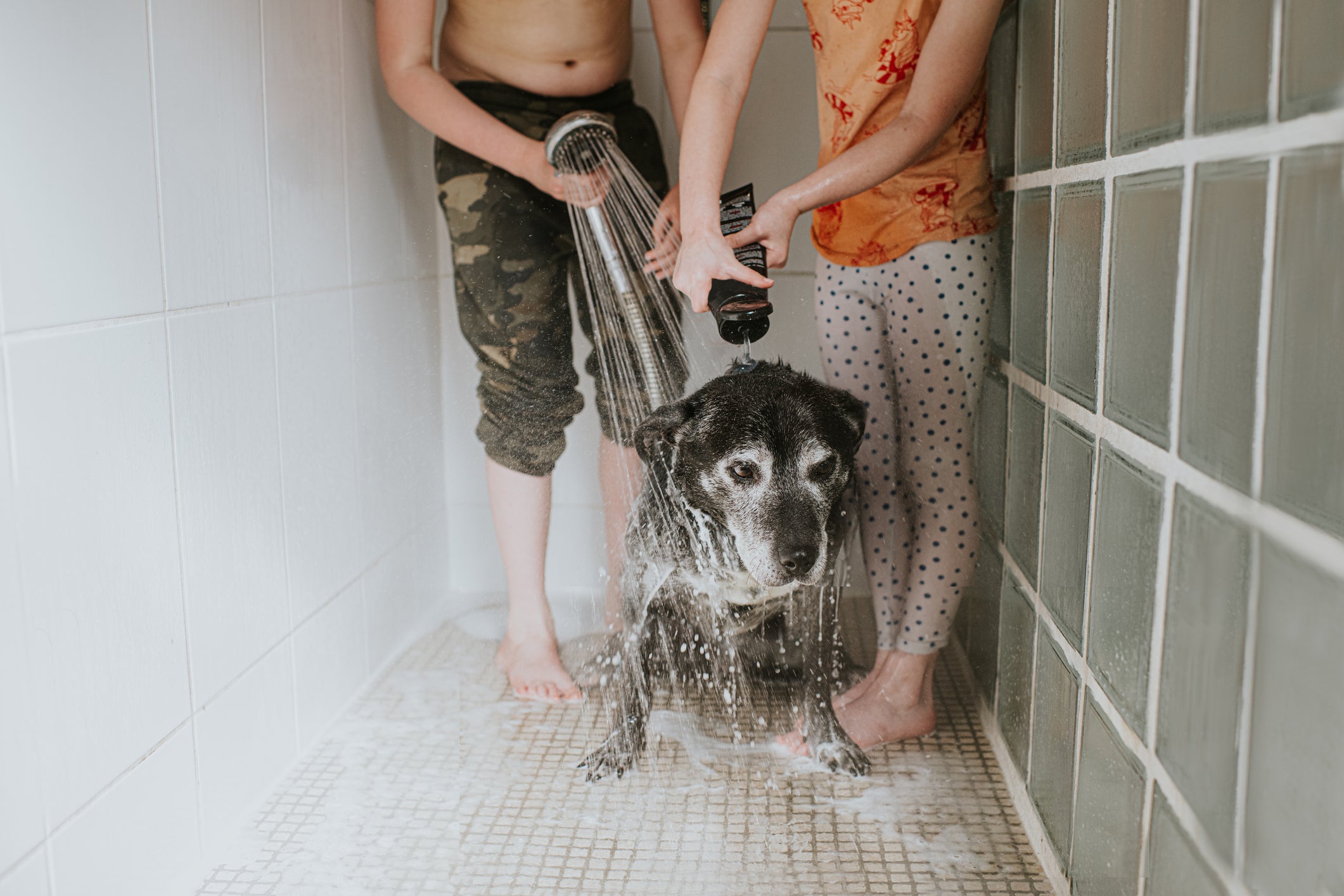 Casal dando banho em cachorro que parece incomodado