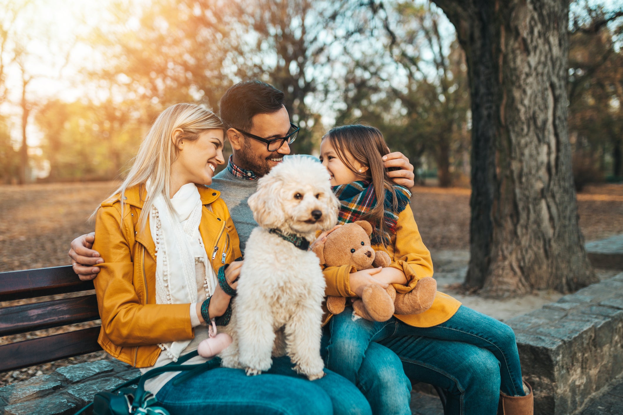 Poodle junto de família humana em parque