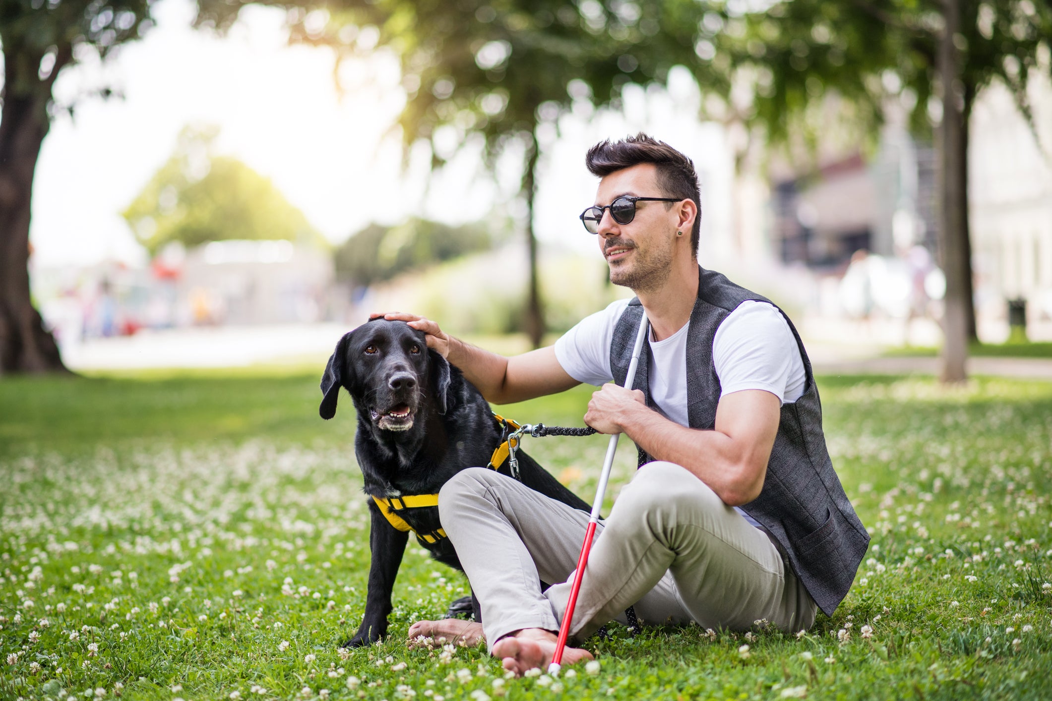 Homem cego e seu cão-guia sentados em parque
