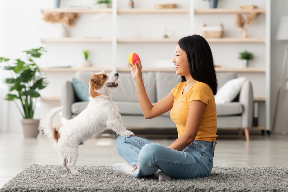 Cachorro brincando com a dona