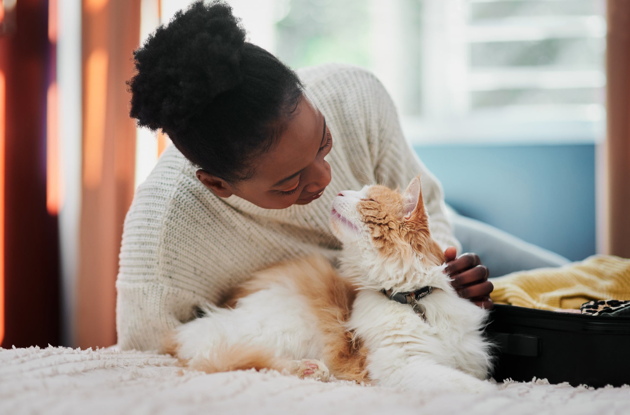 comportamento dos gatos: gato deitado ao lado de uma mulher 