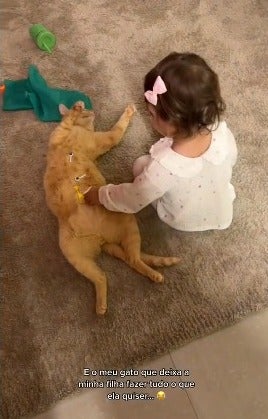 criança fazendo carinho em barriga de gato
