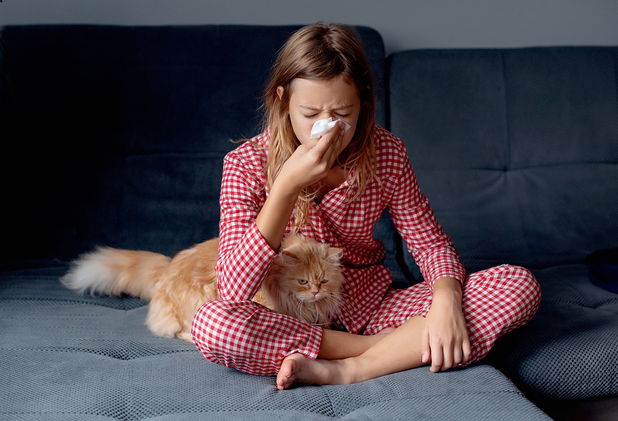 Menina com alergia ao seu próprio gatinho