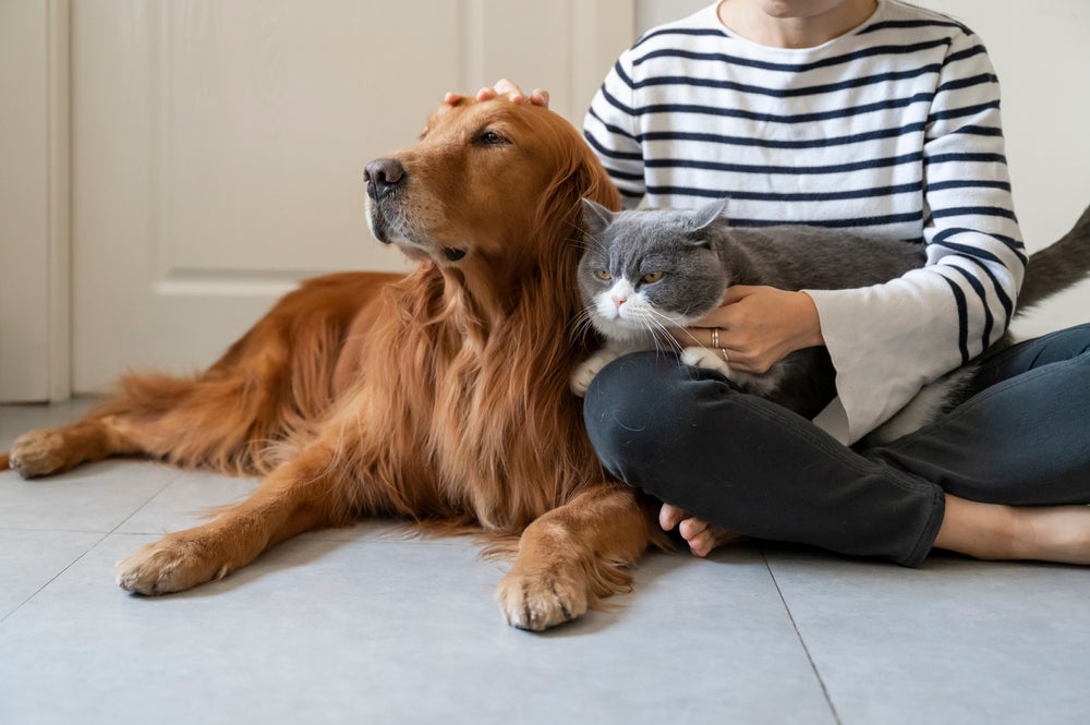 dog person, cat person: mulher segurando cachorro e gato