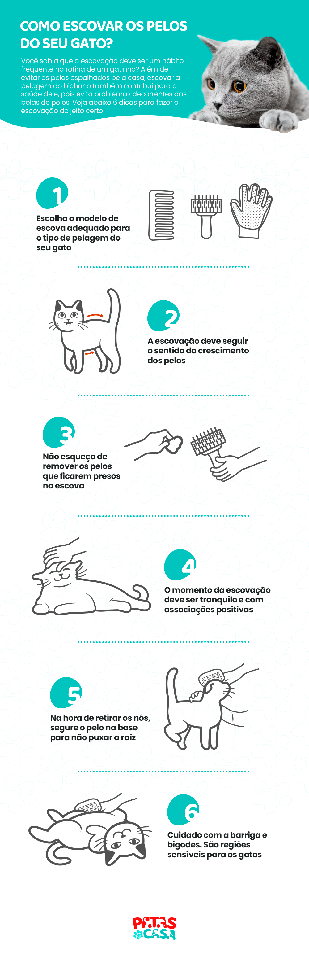 infográfico sobre como escovar pelo de gato